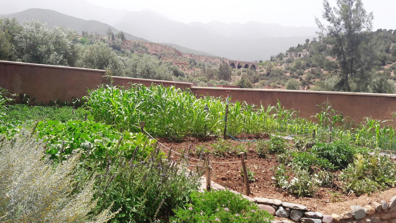 Ouirgane Ecolodge Buitenkant foto
